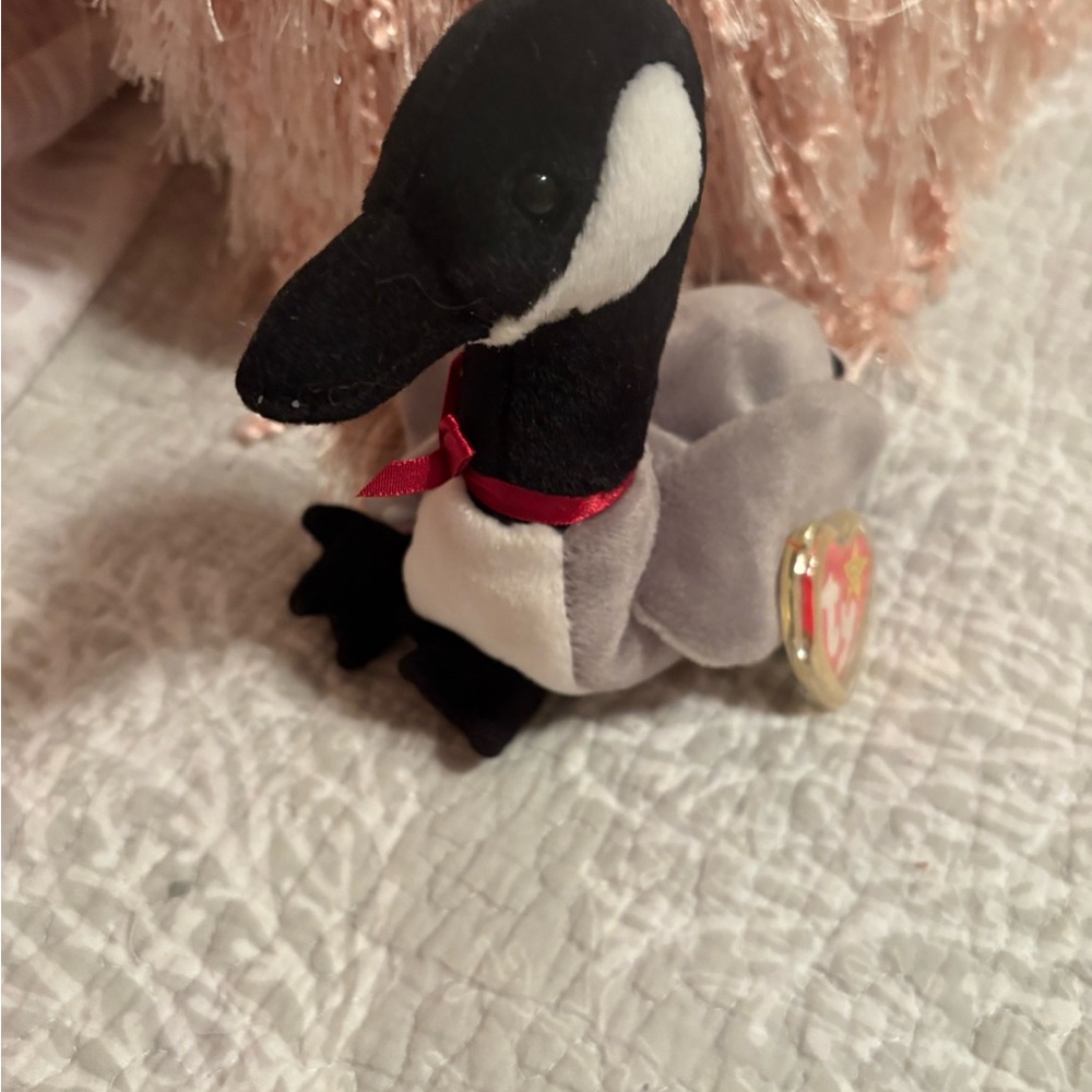 Cute Beanie Baby Duck. Hang tag in protective plastic case. As new.